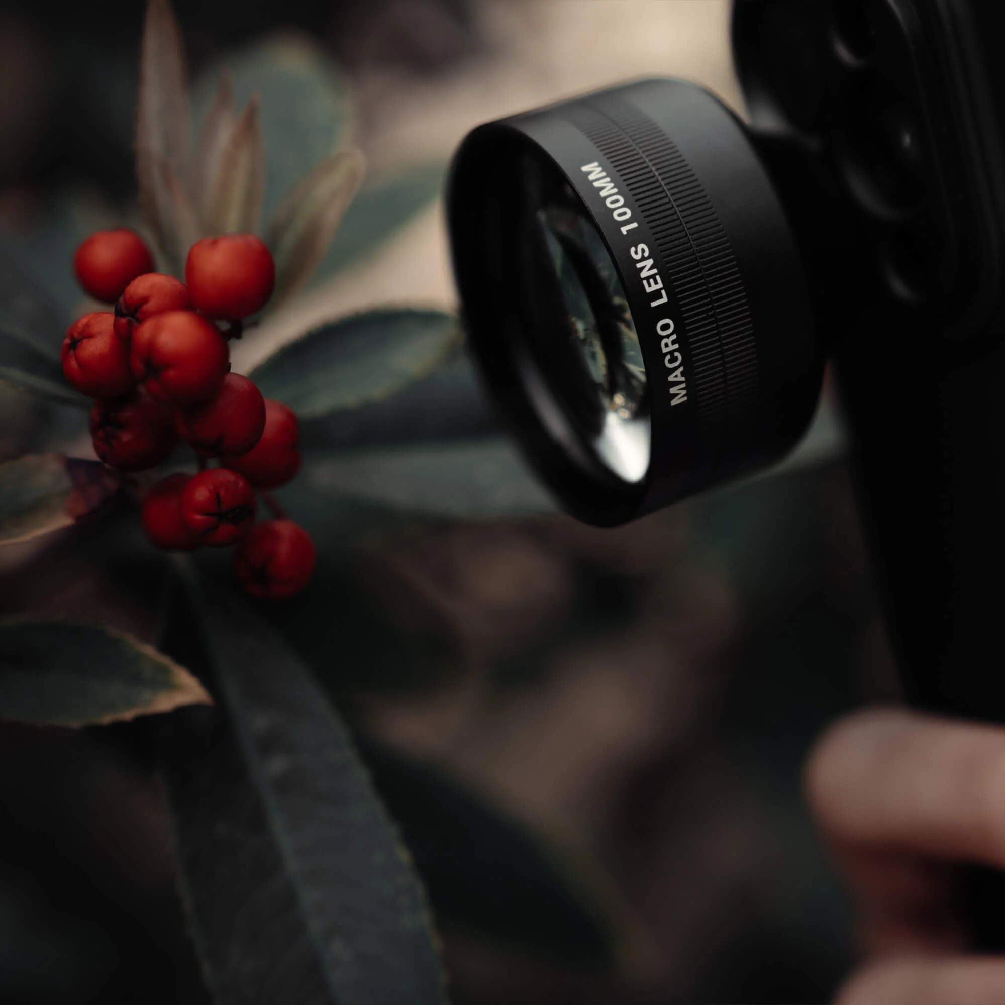 Refurbished Macro 100mm Lens - Image 3