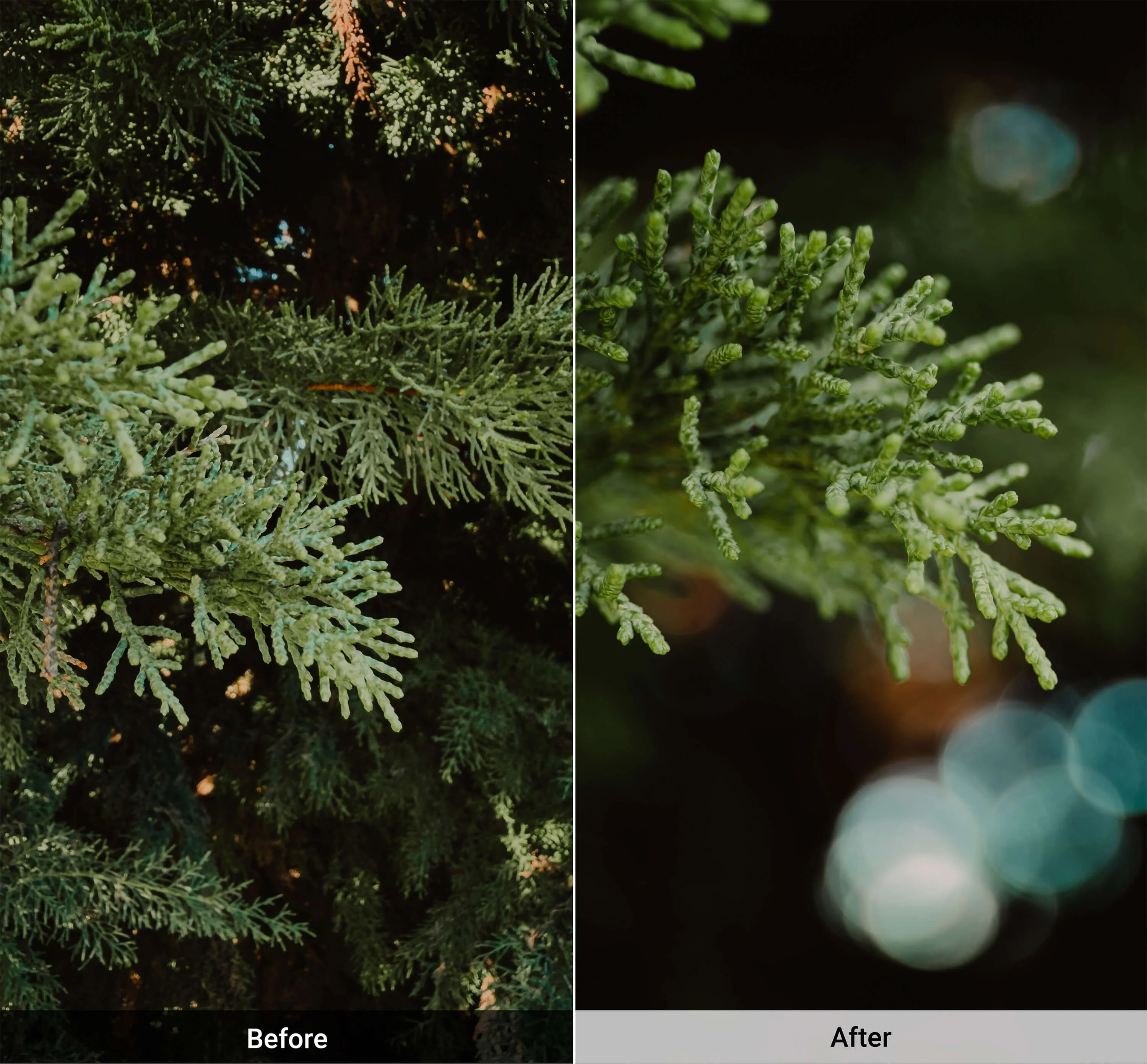Refurbished Macro Lens Edition - iPhone 17 Pro - Image 14