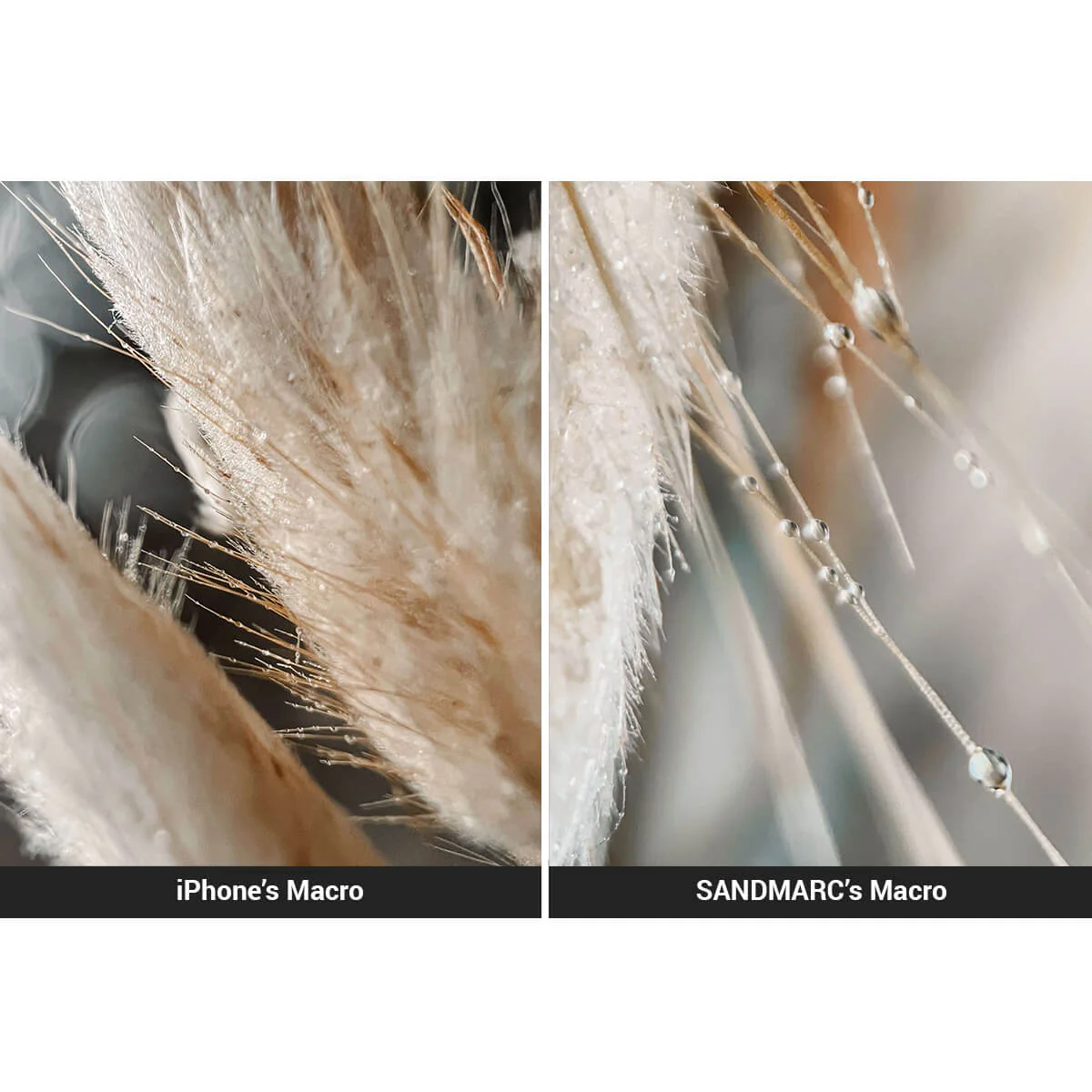 Refurbished Macro Lens Edition - iPhone 17 Pro - Image 6